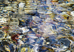 Liquids 1 by Ortwin Klipp