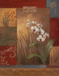 Contemporary Orchids II by Vivian Flasch