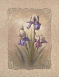 Iris Scroll by Vivian Flasch