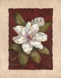 Magnolia Dream I by Vivian Flasch