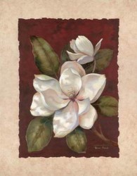 Magnolia Dream II by Vivian Flasch
