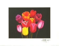Tulips by Andrew Patsalou