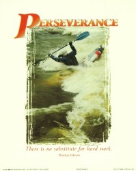 Perseverance