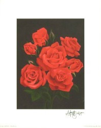 Red Roses by Andrew Patsalou