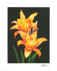 Orange Lillies by Andrew Patsalou