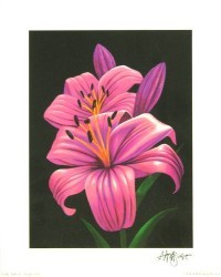 Purple Lillies by Andrew Patsalou