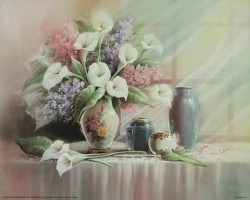 Calla Lily Blossoms by T C Chiu