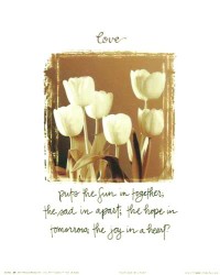 Tulip Love by Joseph Kiley