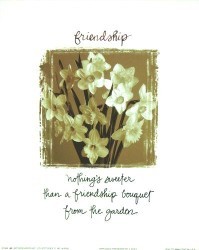 Narcissus Friendship by Joseph Kiley