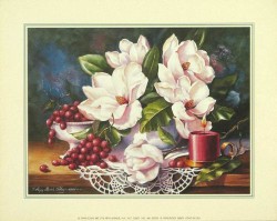 Magnolias and Grapes