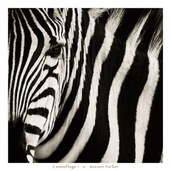 Camouflage I by Susann Parker