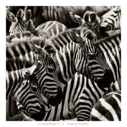 Camouflage II by Susann Parker