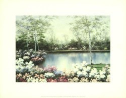 White Birches by Diane Romanello