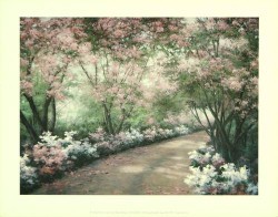 Azalea Walk by Diane Romanello