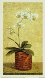 Orchid in Wicker Basket I