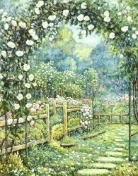 White Rose Garden by James Parrish