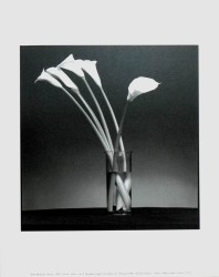 Arons by Pierre Michaud