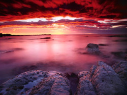 Sonnenaufgang an der Felskuste bei Kaikoura by Popp & Hackner