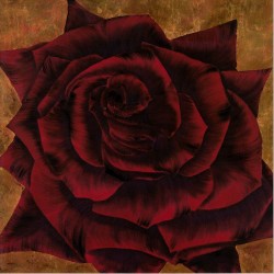 Pia Phoenix by venus rising