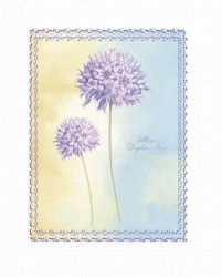 Allium Douglasi by Nicola Rabbett