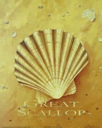 Great Scallop by Martin Wiscombe