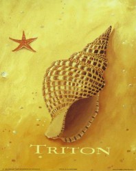 Triton by Martin Wiscombe