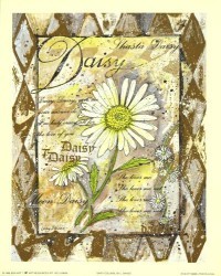 Daisy Collage