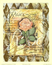 Rose Collage by Lucy Davies