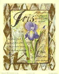 Iris Collage by Lucy Davies