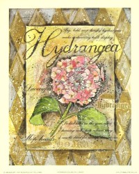 Hydrangea Collage by Lucy Davies
