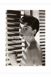 Audrey Hepburn (Blinds)