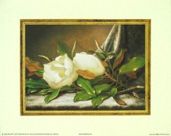 Giant Magnolias by Martin Johnson Heade