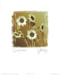 Sunflowers by Joseph Kiley