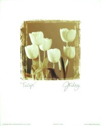 Tulips by Joseph Kiley
