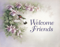Welcome Friends by T C Chiu