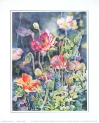 Perfect Poppy I by Sally Bly