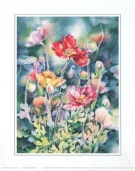 Perfect Poppy II by Sally Bly