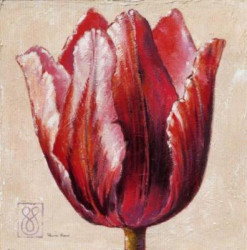 Red Parrot Bloom by Paula Reed