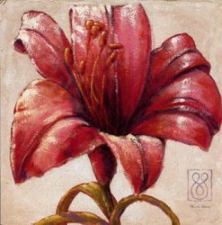 Red Lily Bloom by Paula Reed