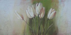 Tender Tulips by Paula Reed