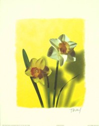 Golden Daffodils by T Kiley