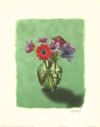 Poppies on Sage by T Kiley