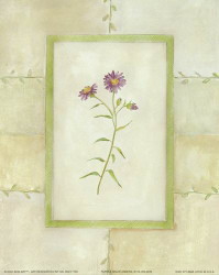 Purple Wildflowers by Barbara Wilson