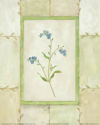 Blue Wildflowers by Barbara Wilson