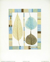 Leaf Trio II by Lucy Davies