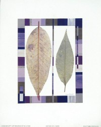 Leaf Duo I by Lucy Davies