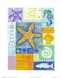 Starfish Sampler by Lucy Davies