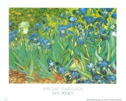 Les Irises by Vincent Van Gogh