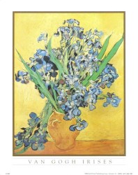 Irises by Vincent Van Gogh