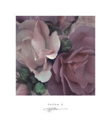 Parfum II by S G Rose